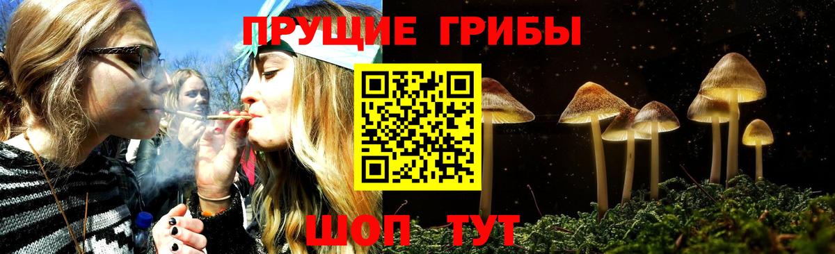 Галлюциногенные грибы GOLDEN TEACHER  Псилоцибиновые грибы Psilocybine cubensis  Вход с VPN  Сыктывкар 